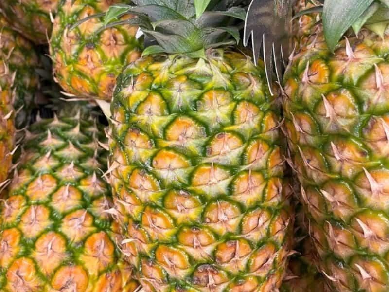 Ananas