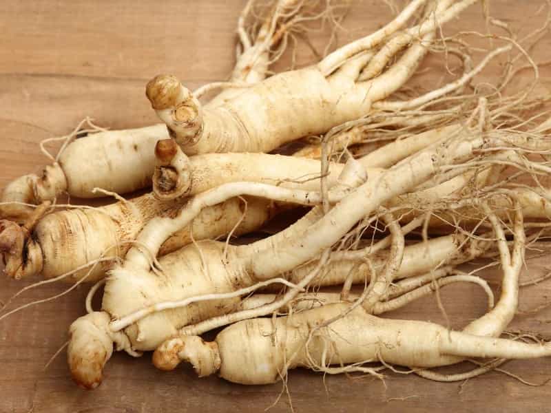 Radice di ginseng